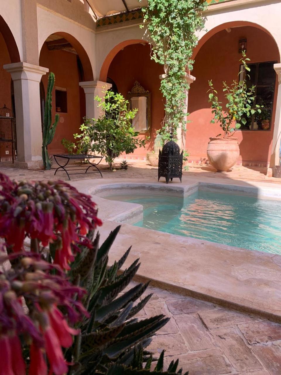 Riad Chant D'Etoiles Tadighoust El Hara Esterno foto